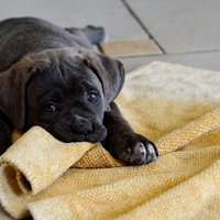 play with me