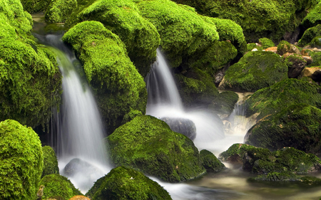 Falling Water - nature, river, green, stones, waterfall