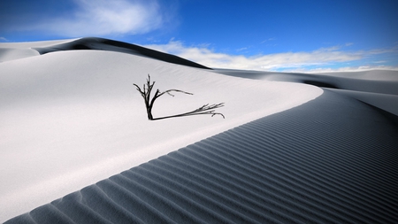 the lonesome dune - nature, lonely, dune, dessert, sand