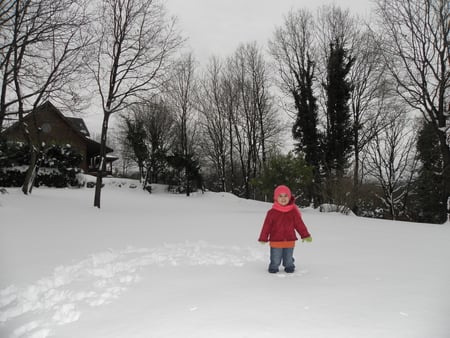 Story and Snow - story, nature, snow, landscape