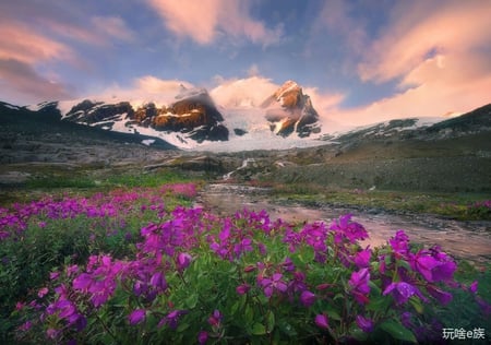 Mountain Paradise - stream, purple, moutain, beautiful, flowers, sky, marc adamus photo, paradise, snow