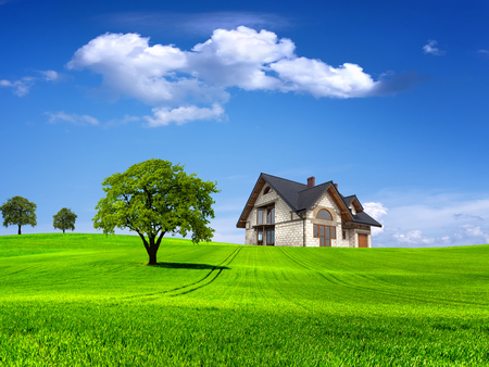 Magic green nature - sky, landscape, tree, nature, earth, grass