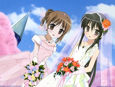 Shakugan No Shana - no, cute, married, shana