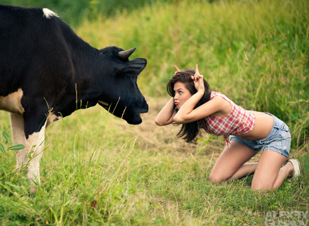 Bullmocking - playful, mocking, funny, bull, girl, cute, creative, not amused