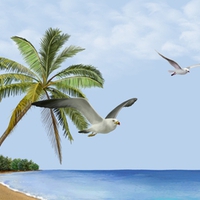 Island of Desire