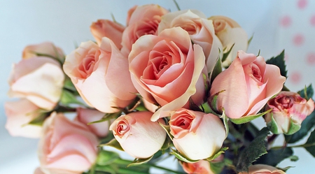 Roses - beauty, roses, photography, delicate, bouquet, rose, still life, with love, pretty, romance, harmony, love, soft, for you, lovely, nature, romantic, beautiful, pink, sweet, flowers, colors, elegantly, flower