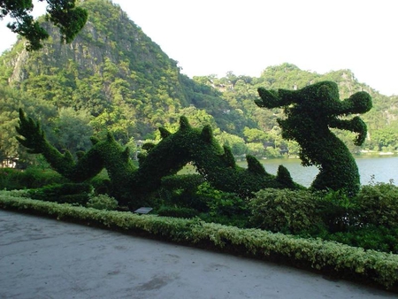 Topiary Dragon - dragons, plants, topiary, gardens