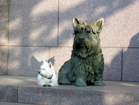 FDR's Fala and little white friend - dogs, fdr, washington dc, fala, monuments