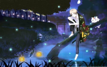 Natsume Yuujinchou - natsume, fireflies, night, tree, cat