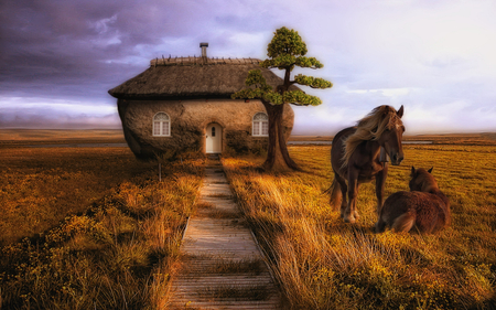 The Horses Home - abstract, house, beautiful, creative, tree, cg, horses, digital, field, 3d, art