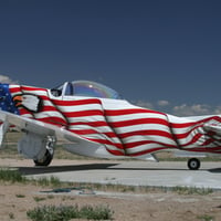 Patriotic Mustang