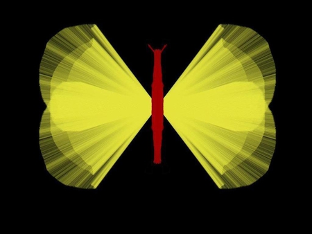 The Flutterby - flutterby, black, yellow, red