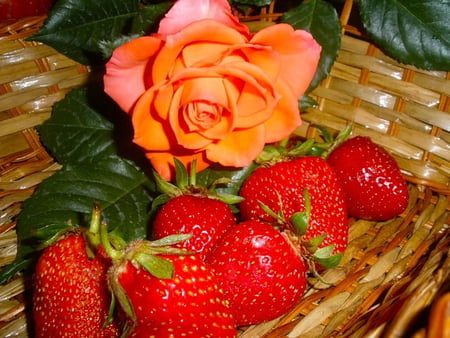 Rose and strawberries - red, flower, rose, pretty, fruits, still life, yummy, strawberries, nice, lovely, orange, basket