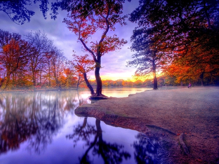 Lake Trees - lake, trees, picture, beautiful