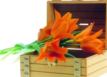 Sweet gift - beauty, gift, soft, delicate, tulips, orangel, box, petals, beautiful, leaves, green, flowers