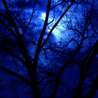 Blue Night