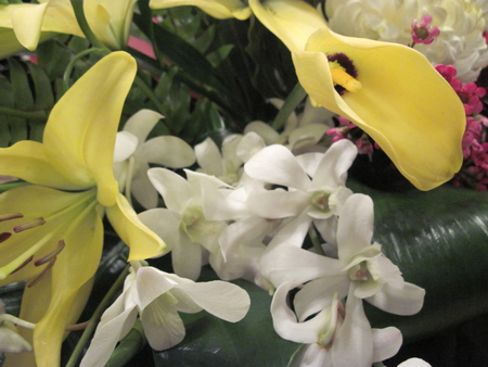 Bouquet of Flowers 59 - flowers, white, yellow, red, green, photography