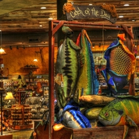 fishing store hdr