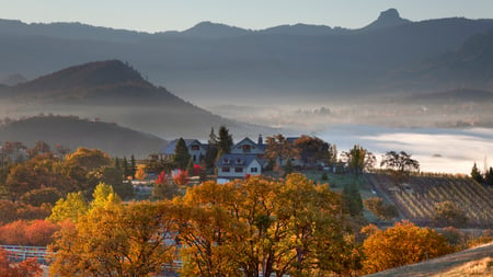 farm in the mist - mountains, farm, mist, vines