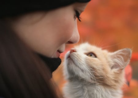 Catlover - woman, love, people, cat, animal, cute, kitten