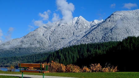 grey mountains - nature, mountain, trees, grey