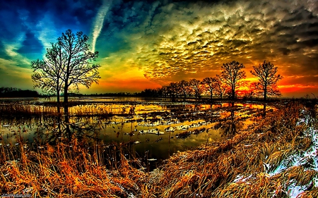 SUNSET CLOUDS - sky, forest, clouds, sunset, swamp