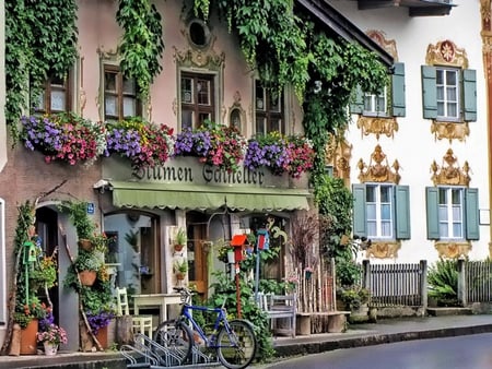 house in Germany - nature, street, flowers, germany