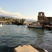 Shore bay with boats & palm trees 