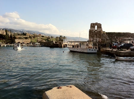 Shore bay with boats & palm trees  - palm, bay, shore, blue, boats sky, beaches, monument, oceans, trees, ancient, green