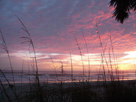 Red Sunrise - sunrise, nature, beach, beautiful