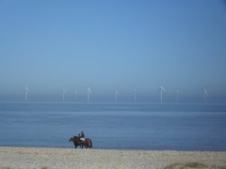 Horse Stroll - horses, farm, stroll, wind