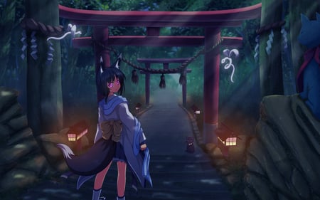 come with me - foxgirl, anime, animal ears, black hair, night, cat