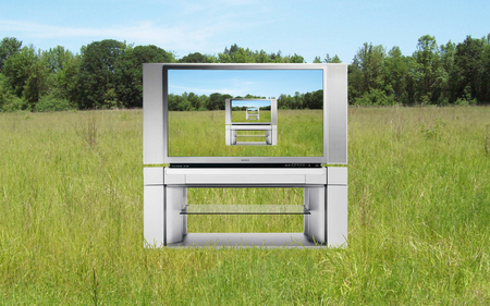 Nature Program - trees, green, television, field, tv