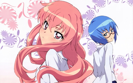 Zero no Tsukaima - long hair, pink, short hair, anime girls, anime, blue