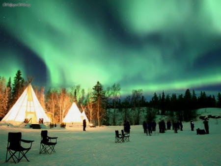 northern lights - night, aurora, arctic, lights