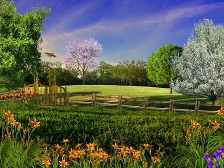 Springtime - warm, trees, blossoms, blue, beautiful, springtime, spring, grass, meadow, fence, flowers, nature, green, field, sky