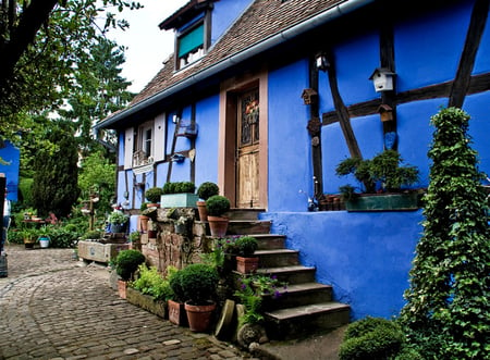 blue house - flowers, house, flower pots, nature, blue, beautiful, steps