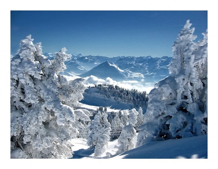 winter landscape - nature, landscape, cold, trees, snow, blue, winter