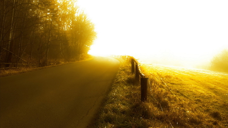 Towards the Light... - unknown, trees, light, no end, road, fantasy