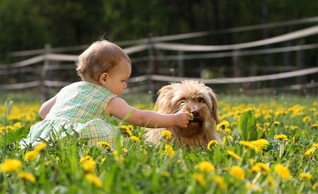 Sweetie with Dog - cute, girl, baby, dog