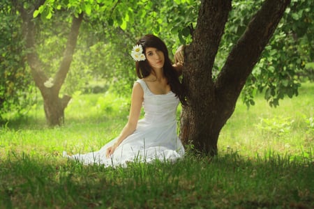 Graceful in White - white, graceful, girl, daisy, grass, lovely, tree