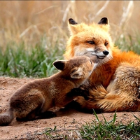 LOVE YOU ,MAMA!