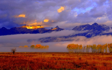 AUTUMN FOG - clouds, trees, fog, autumn, field, mountain