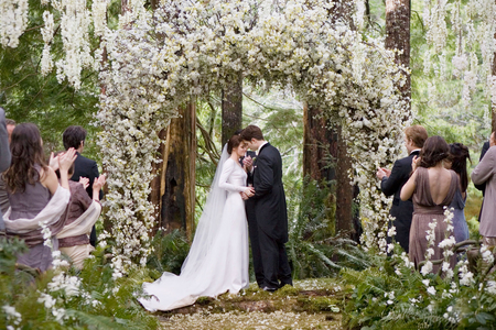 Breaking Down Part 1 - bride, kristen stewart, people, marry, breaking down, flower, saga, white, purple, edward cullen, twilight, movie, bella swan, robert pattinson