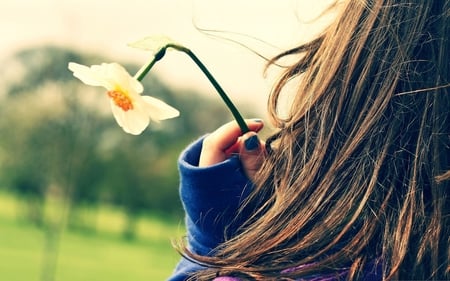 A Flower for You - flower, romance, girl, daffodil, photography, field, nature, woman, happiness