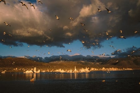 Flock Above Lake - clouds, birds, land, lake, dark, rocks, sky