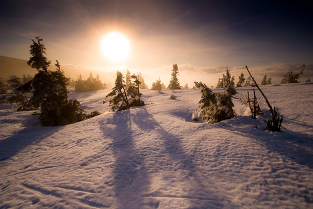 Winter Wonderland VII - pretty, horizon, fantastic, amazing, snow, fir, stunning, frost, nice, winter wonderland vii, outstanding, sky, sun, clouds, fir tree, sunlight, trees, winter, beautiful, sunshine, tree, wonderful, ice, nature, sunset, awesome, skyphoenixx1, shadows, cloud