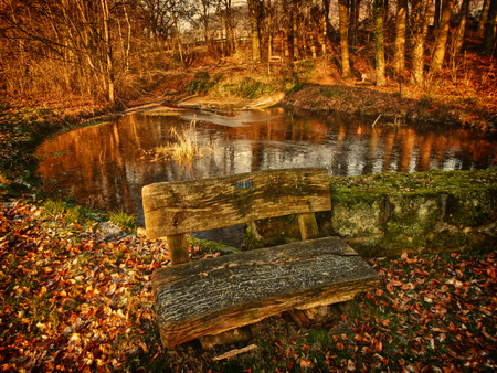 A nice Place to Rest - rest, nature, bench, autumn