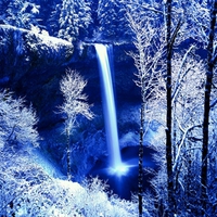 WINTER FOREST FALLS