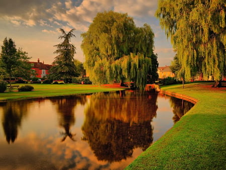 Autumn in the park - fall, willows, lake, sky, reflection, clouds, trees, park, autumn